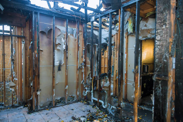 Professional Emergency Fire Cleanup technician working in Mendota, MN