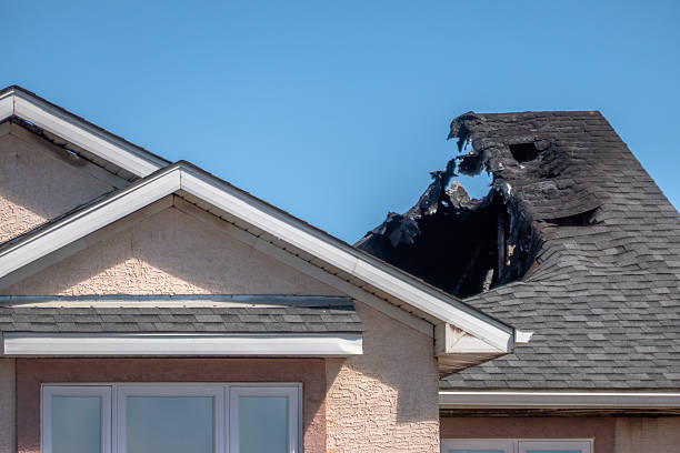 Top rated local Emergency Fire Cleanup specialists in Mendota, MN